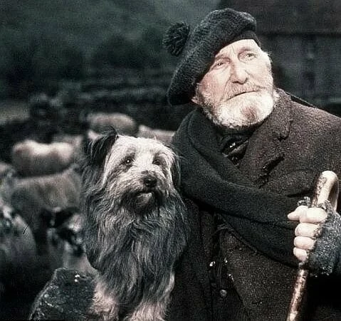 Бобби из Грейфраерса: Правдивая история (1961) через торрент скачать Бобби из Грейфраерса: Правдивая история (1961) фильм через торрент скачать