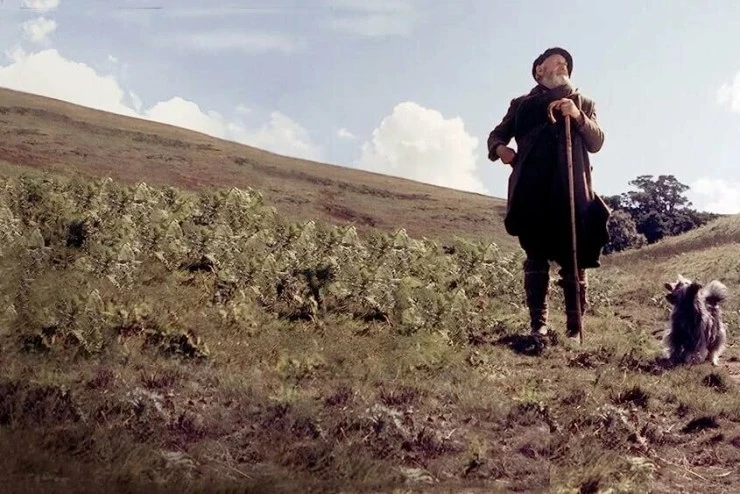 Бобби из Грейфраерса: Правдивая история (1961) через торрент бесплатно Бобби из Грейфраерса: Правдивая история (1961) фильм через торрент бесплатно