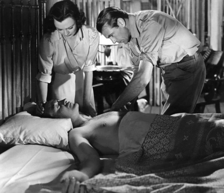 Настоящая слава (1939) через торрент скачать Настоящая слава (1939) фильм через торрент скачать