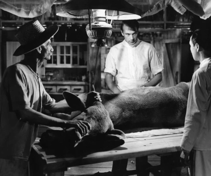 Настоящая слава (1939) через торрент бесплатно Настоящая слава (1939) фильм через торрент бесплатно